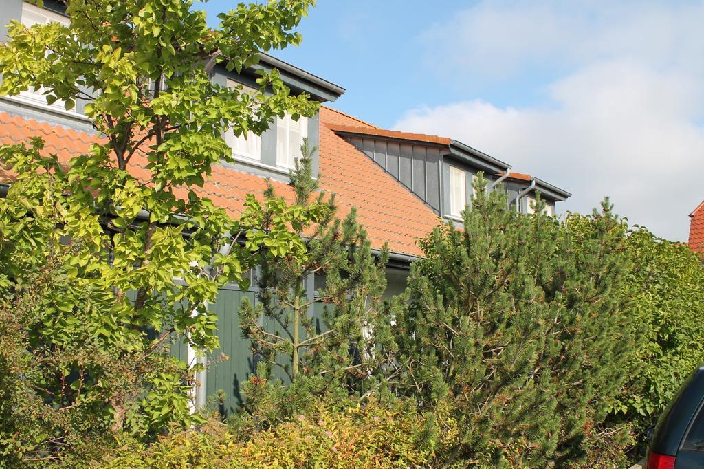 H.W.S. Hotel Der Wilde Schwan Sagard Rom bilde