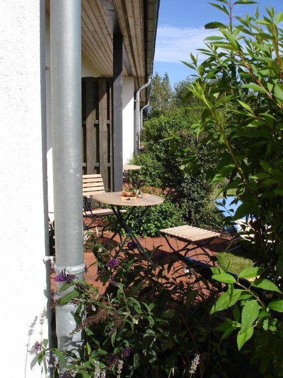 H.W.S. Hotel Der Wilde Schwan Sagard Rom bilde