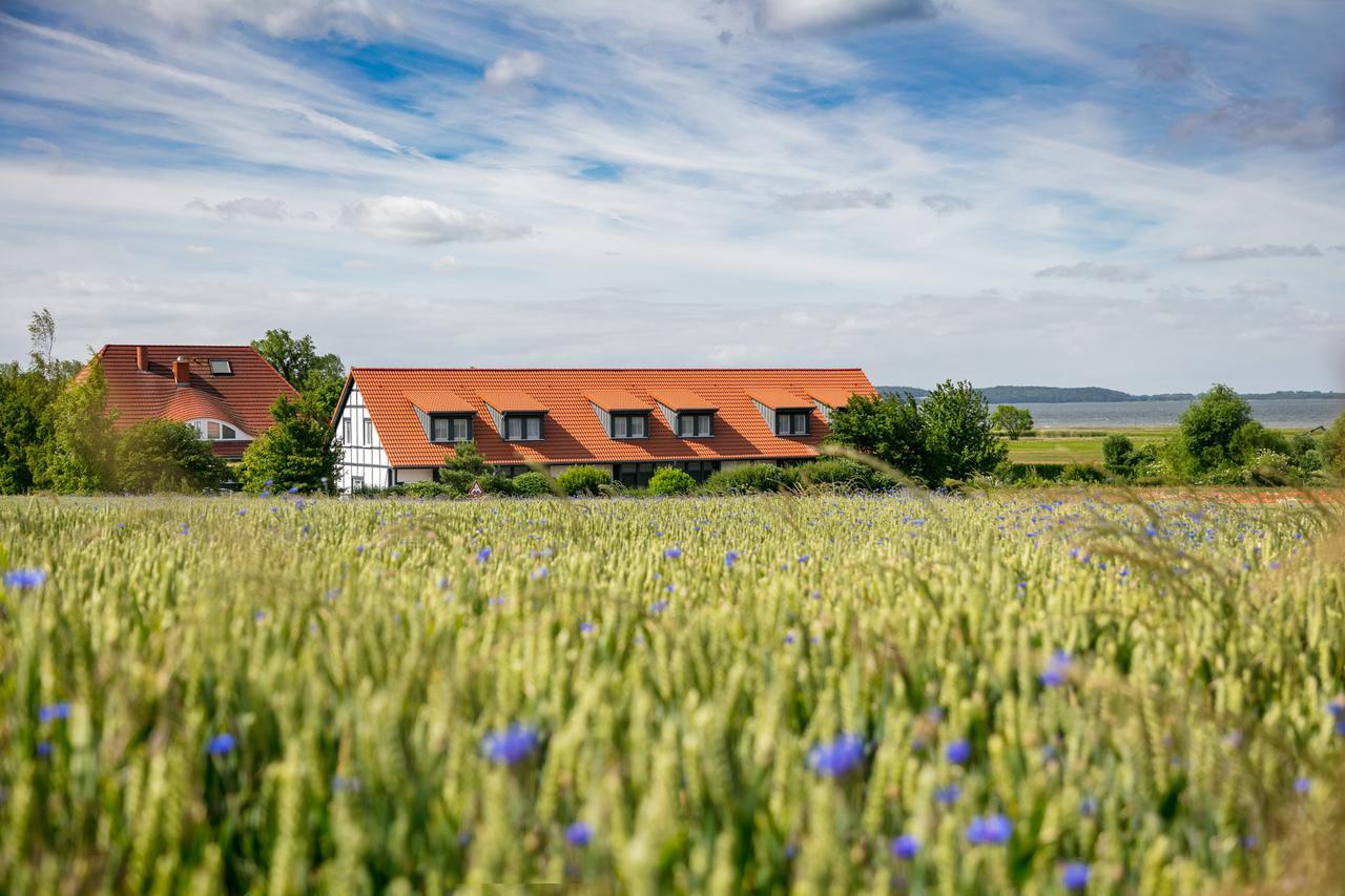 H.W.S. Hotel Der Wilde Schwan Sagard Eksteriør bilde